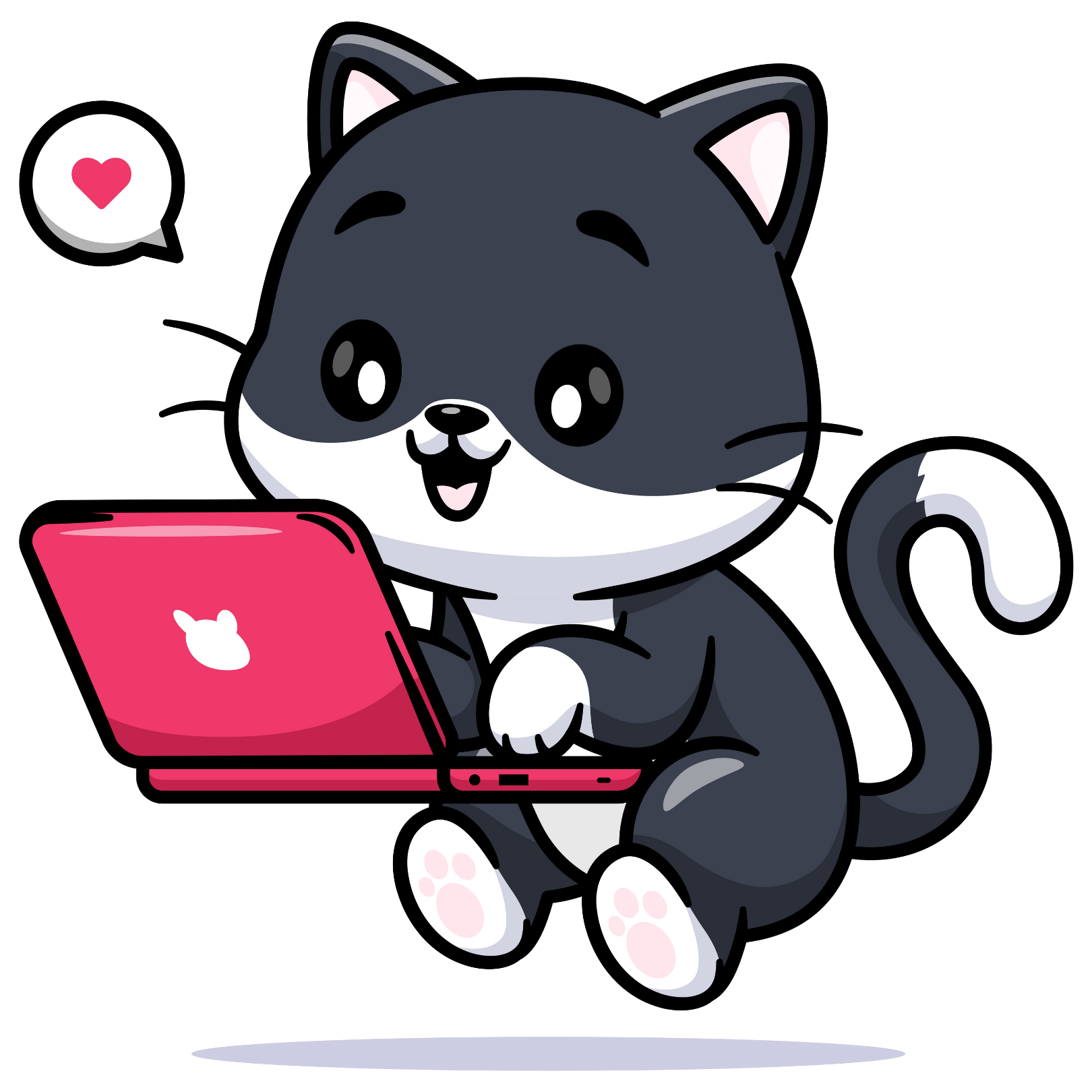 chat sur ordinateur